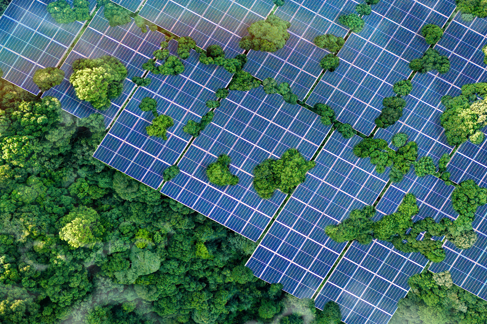 india-net-zero.png